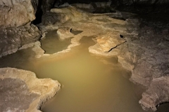 IMG-20210401-WA0025