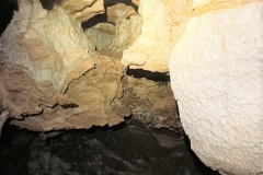 IMG-20210401-WA0029
