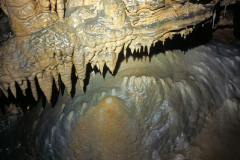 IMG-20240610-WA0009