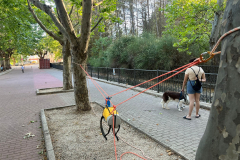 IMG-20250718-WA0001