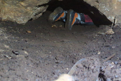 IMG-20230226-WA0038