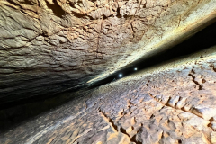 IMG-20230806-WA0008