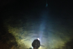 IMG-20230703-WA0007