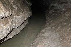 IMG-20250708-WA0020