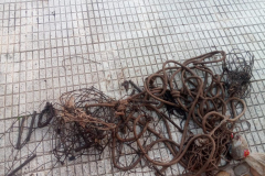IMG-20240318-WA0014