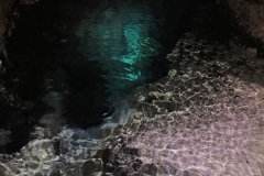 IMG-20210329-WA0024
