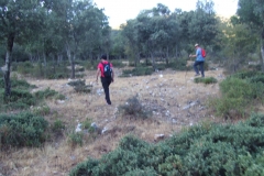 DSCF7151