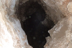 DSCF7169