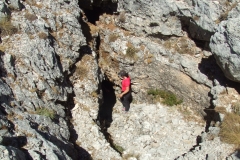 DSCF7173