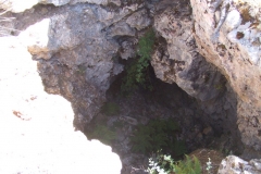 DSCF7183