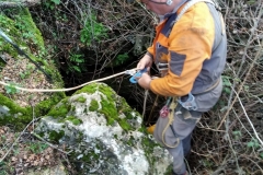 IMG-20210404-WA0020