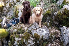 IMG-20210510-WA0006
