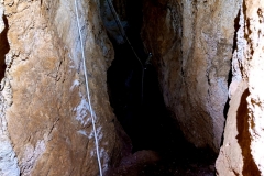 IMG-20210510-WA0008-1