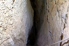 IMG-20210510-WA0008
