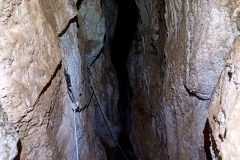 IMG-20210510-WA0009