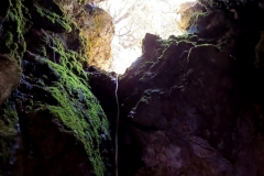 IMG-20210510-WA0011