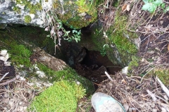 IMG-20210306-WA0020