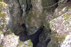 IMG-20210306-WA0021