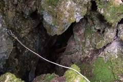 IMG-20210306-WA0029
