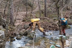 IMG-20210306-WA0035