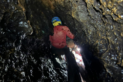 IMG-20240814-WA0019