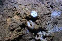 IMG-20230316-WA0016