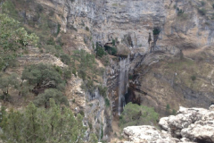 IMG-20230316-WA0020