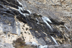 IMG-20230316-WA0024