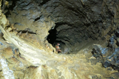 IMG-20241005-WA0007