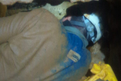 Galeria Horrible Hinneni 0-08-2025