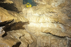 IMG-20231204-WA0006