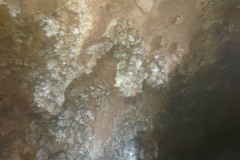 IMG-20171126-WA0020