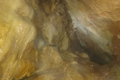 IMG-20171126-WA0034