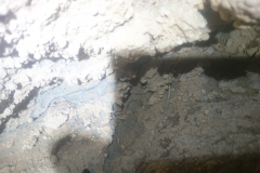 IMG-20190127-WA0016