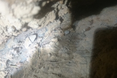 IMG-20190127-WA0017