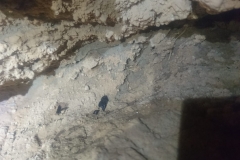 IMG-20190127-WA0018