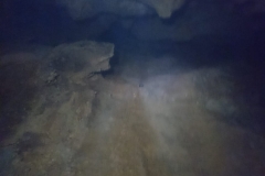 IMG-20190127-WA0039