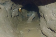 IMG-20190127-WA0043