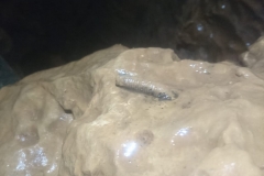 IMG-20190127-WA0045