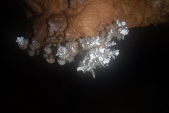 IMG-20201025-WA0026