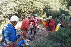 IMG-19-15