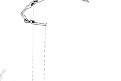 IMG-20220912-WA0001
