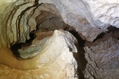 IMG-20210919-WA0001