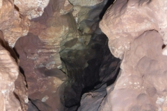 IMG-20201130-WA0005