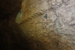 IMG-20220307-WA0006