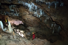 IMG-20220131-WA0040