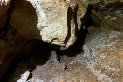 IMG-20220521-WA0039