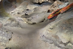IMG-20220521-WA0041