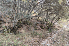 WhatsApp-Image-2025-09-07-at-13.03.33-2