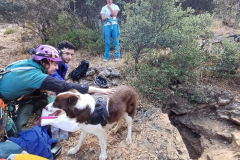 WhatsApp-Image-2025-09-08-at-00.01.29-1